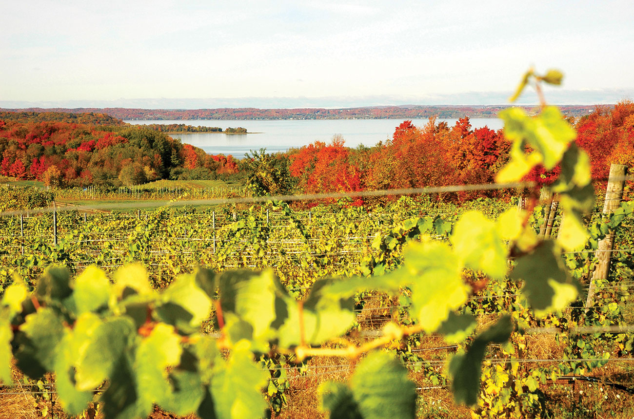 Old Mission Peninsula winery fall