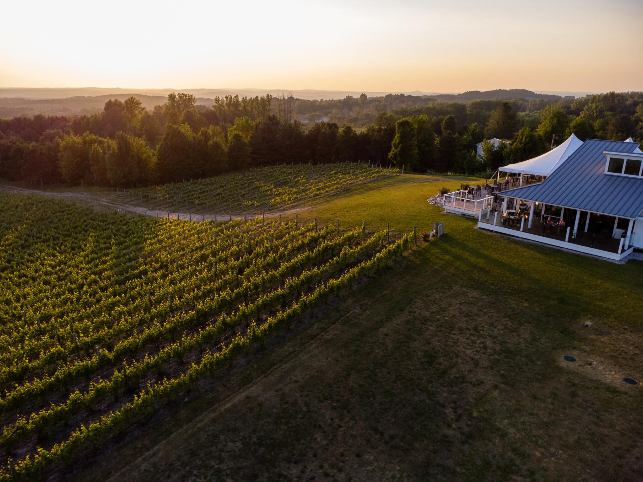 Winery - Rove Estate