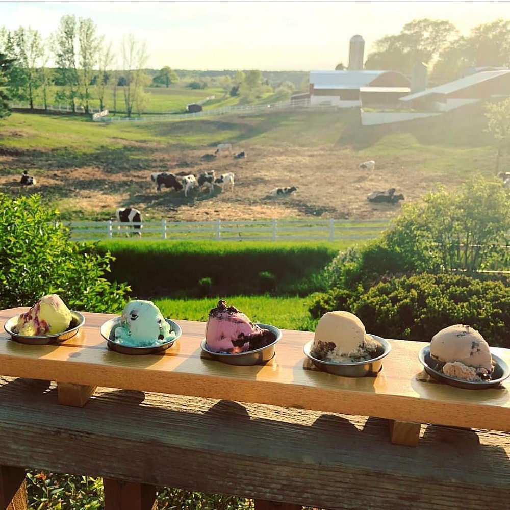Moomers Ice Cream — Traverse City