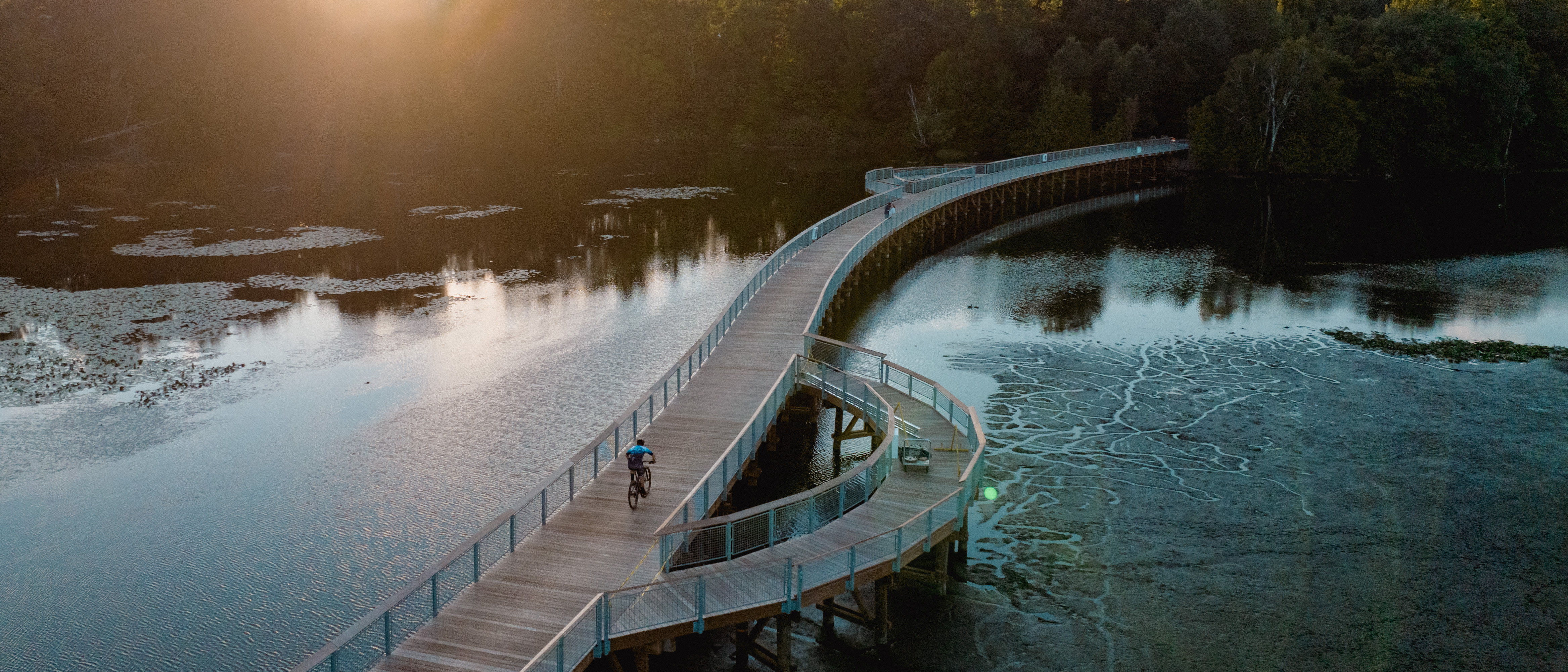 Boardman Lake Trail boardwalk at golden hour