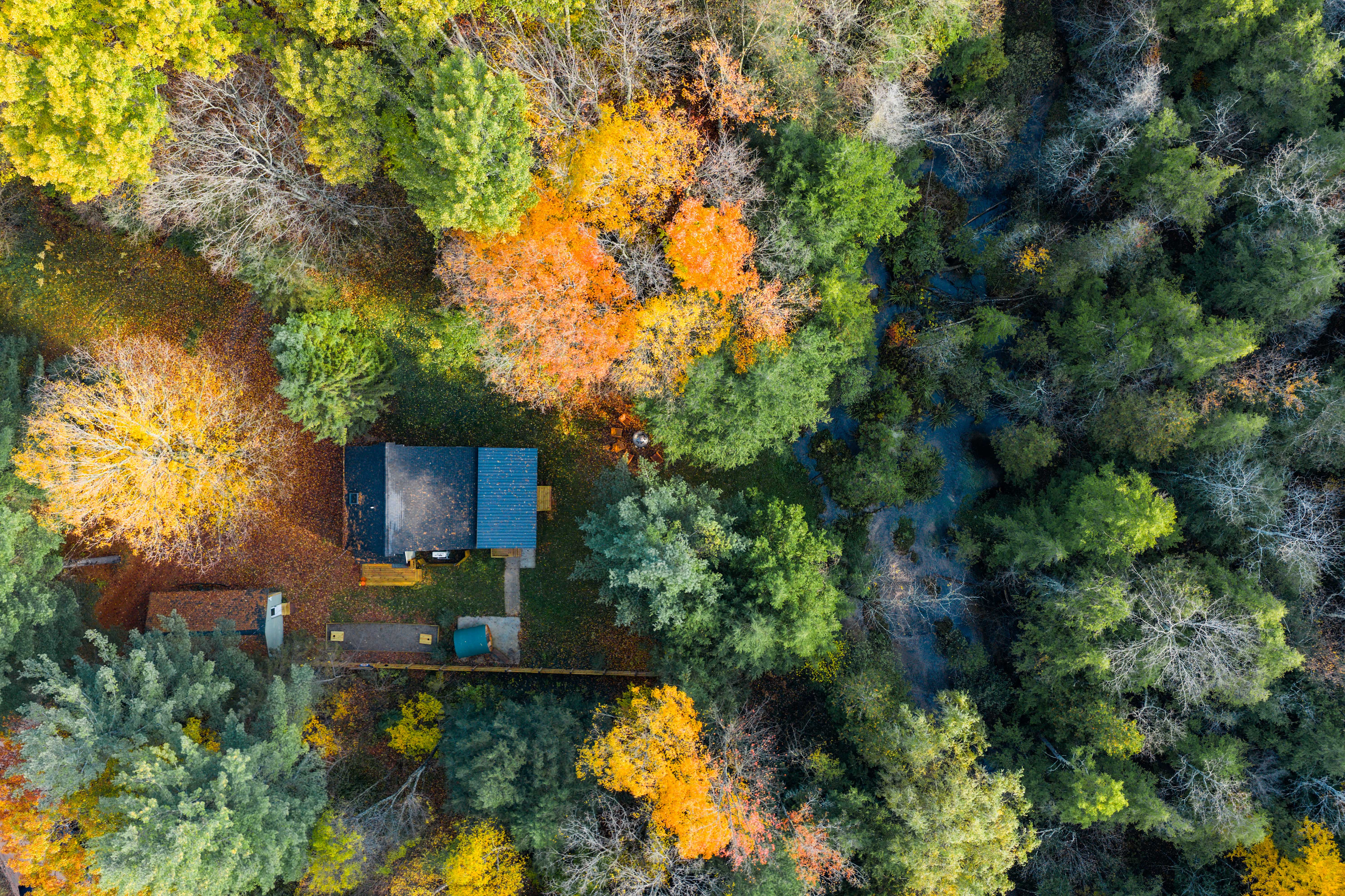 Streamside — aerial view through fall foliage