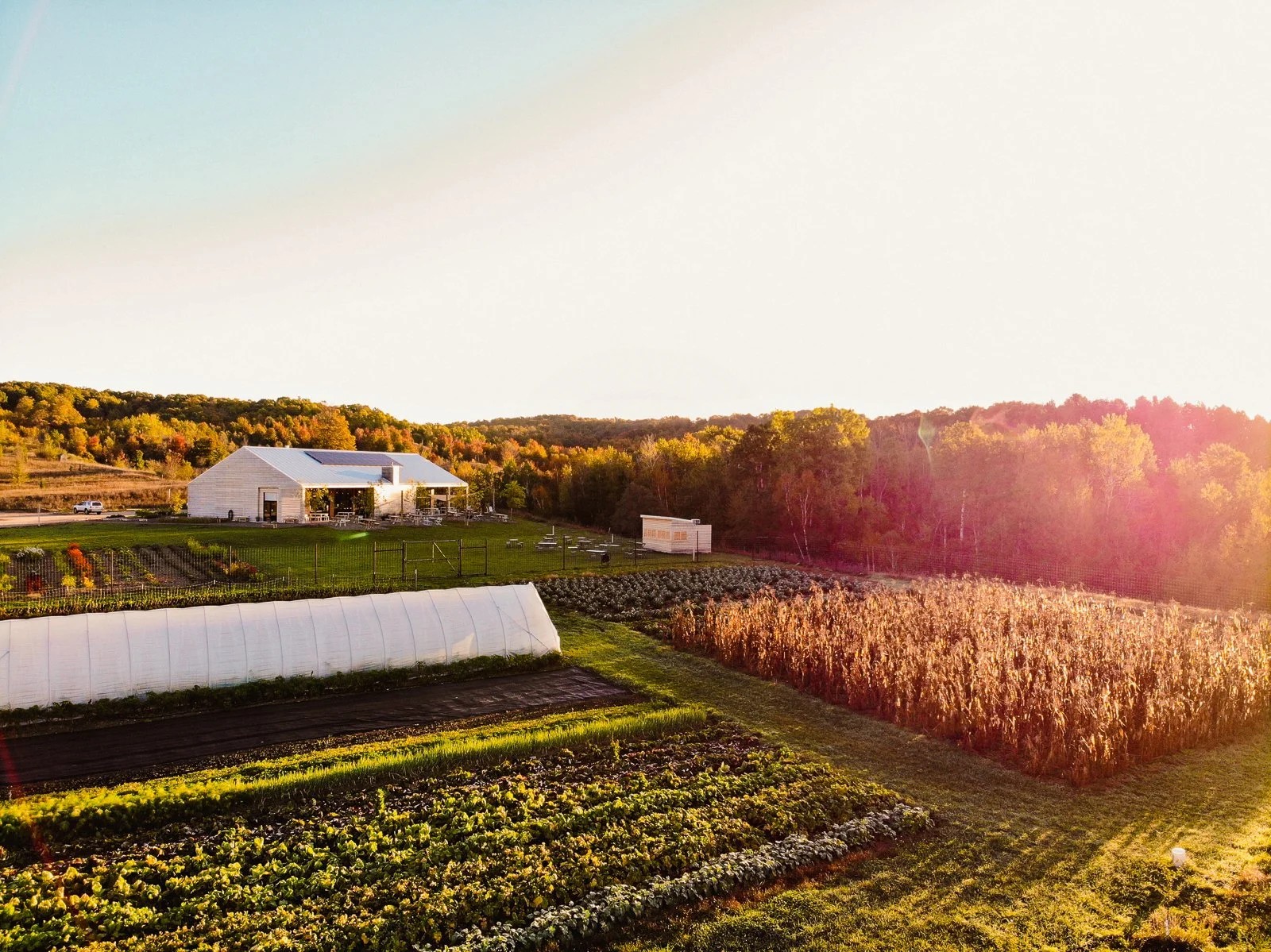 Farm Club — fields at golden hour