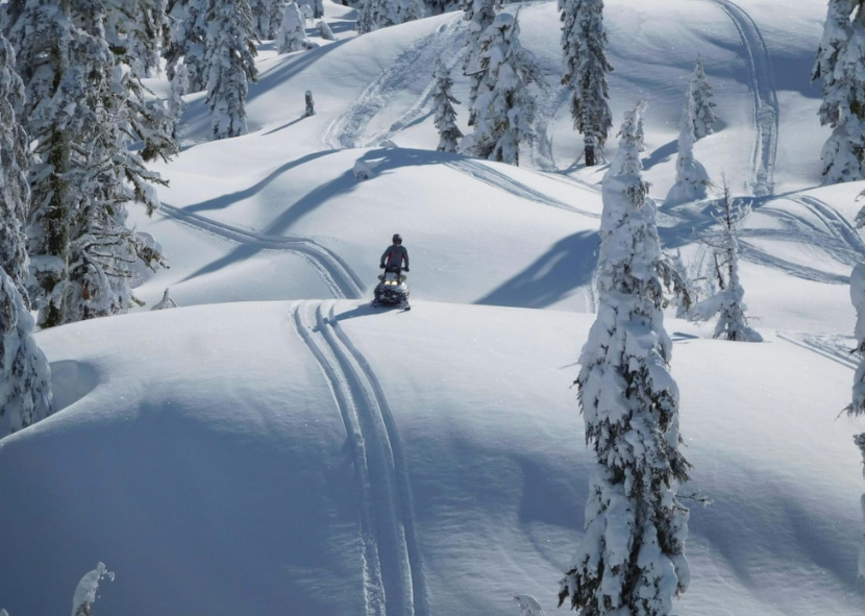 Snowmobiling Northern Michigan trails